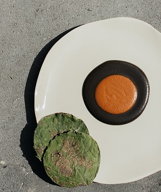 Stephanie Izard Instagram